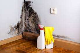 Best Comprehensive Air Testing for Mold Contaminants  in Carolina Forest, SC